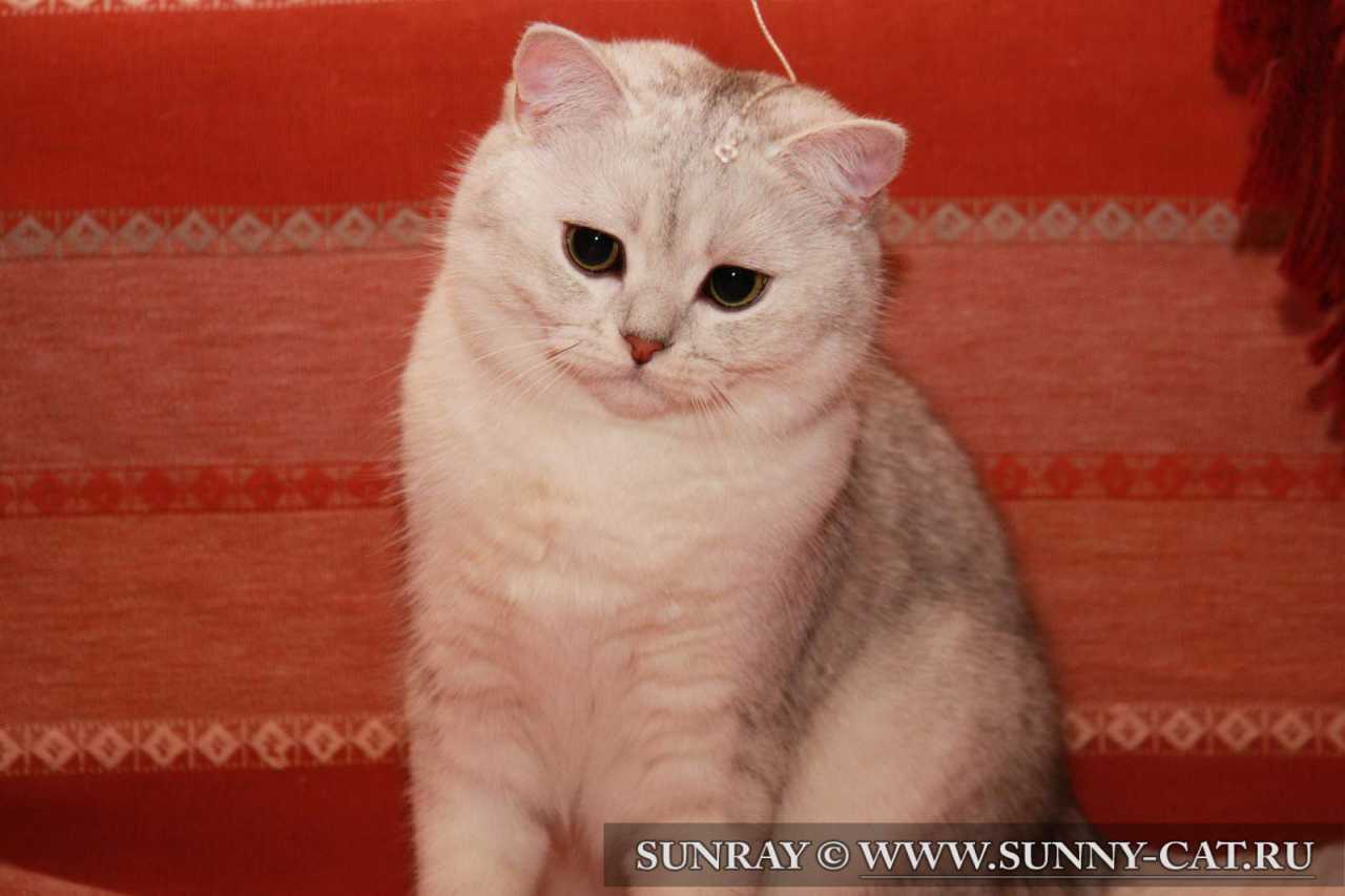 Bertran SunRay