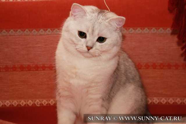 Bertran SunRay