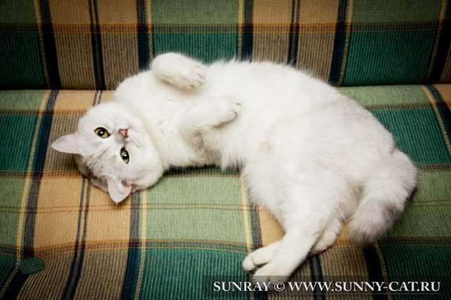 Bertran SunRay