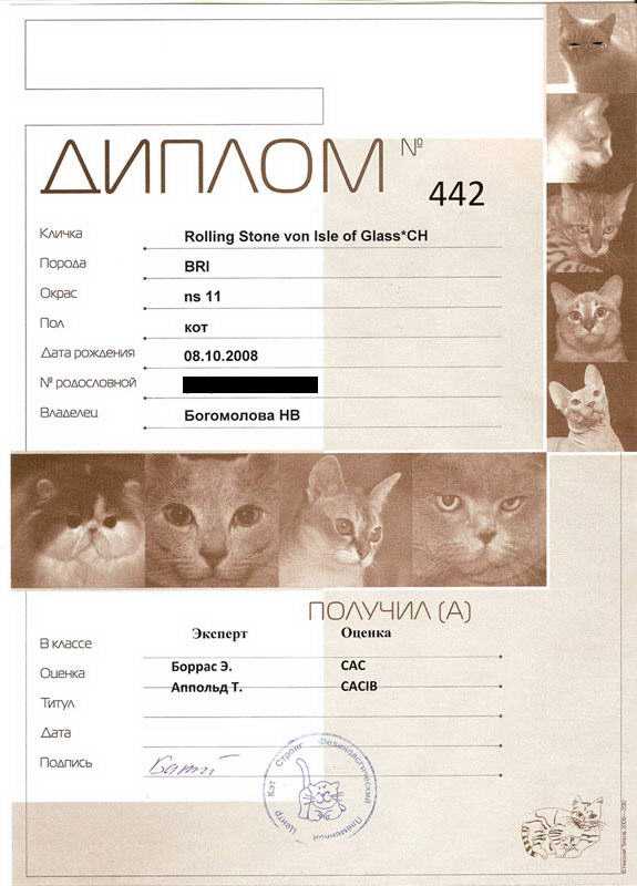 CAC/CACIB
