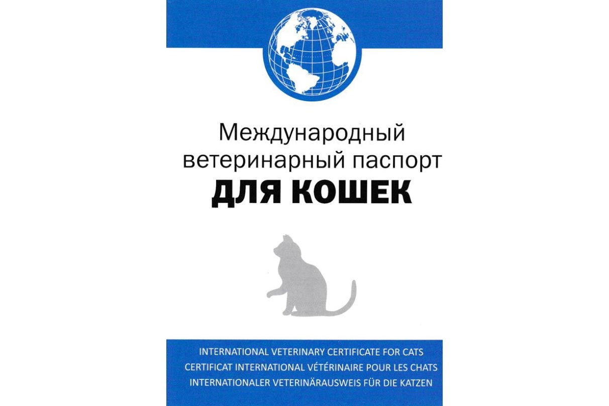 прививка от глистов поросятам прививка от глистов поросятам