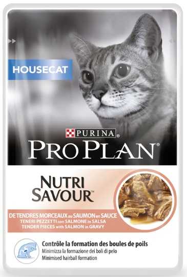 purina housecat