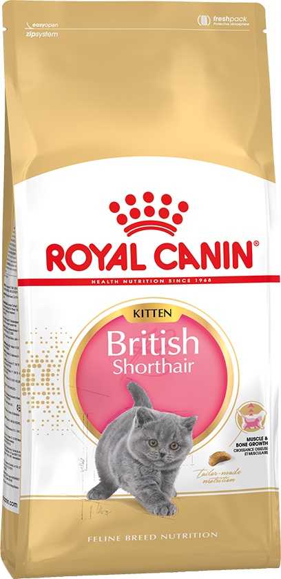 royal canin kitten british shorthair