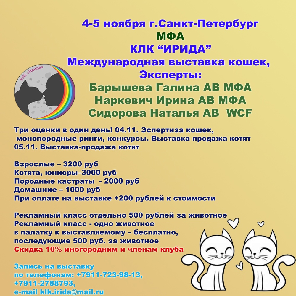 Продажа Кошек Фото