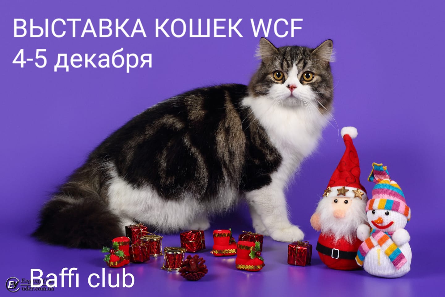 4 Кота И Новый Год