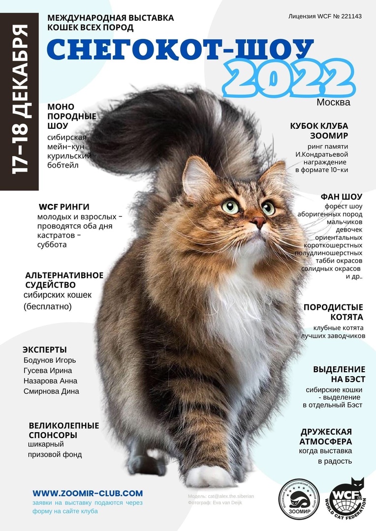 выставка котов в спб экспофорум. выставка кошек в санкт петербурге 2024 расписание. выставка кошек в санкт петербурге 2024 расписание. открытки на выставку кошек. афиша кошки.