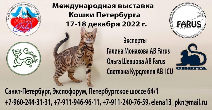 Выставка кошек в санкт петербурге 2024 расписание. Выставка кошек Екатеринбург 2023 расписание. Зоошоу март 2023 Санкт Петербург. Амур Нева Фарус. Выставка кошек на ВДНХ 2023 расписание