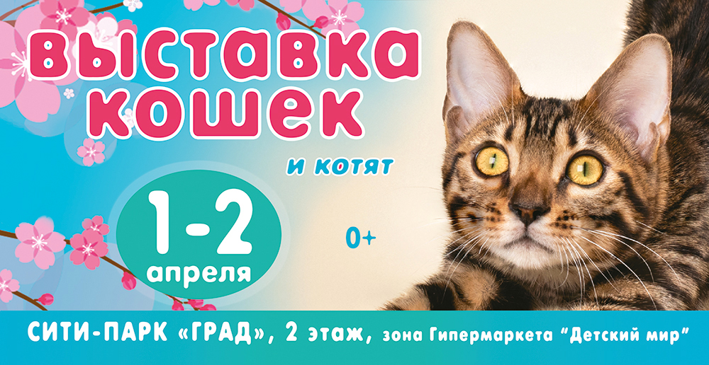 Выставка кошек в санкт петербурге 2024 расписание. Выставка кошек Воронеж 1 апреля. Котесити
