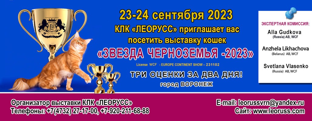 Выставка кошек кемерово 2024. Котенок Воронеж на выставке Россия. Выставка кошек в Томске 2024. Выставка кошек Новосибирск 2024 расписание. Выставка кошек в Москве 2024 расписание.