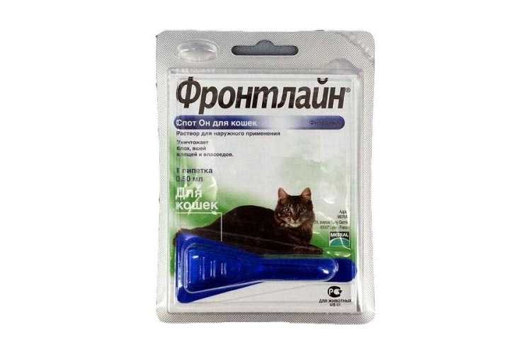 Фронтлайн Для Кошек Цена