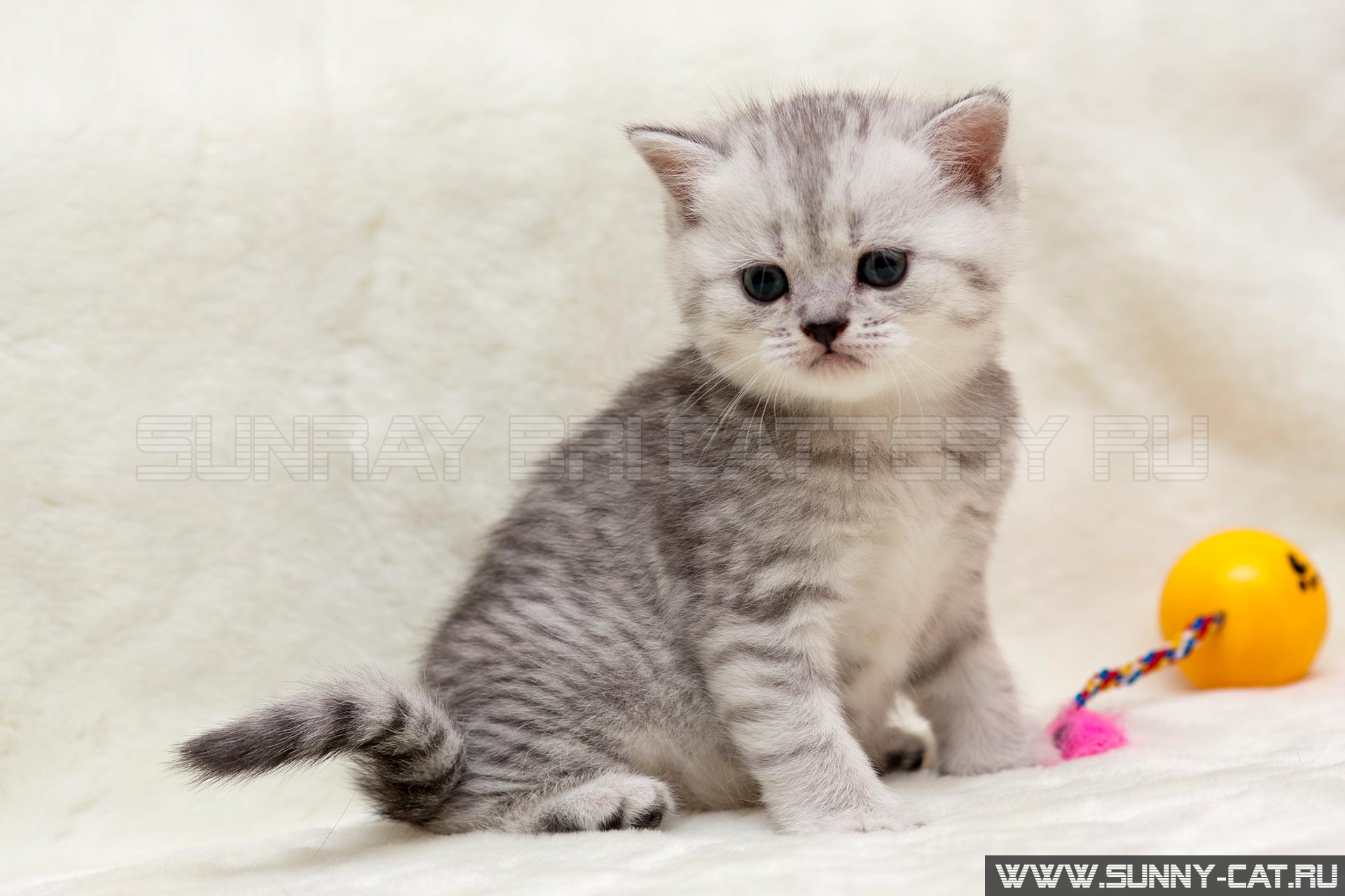 Имена на основе характера